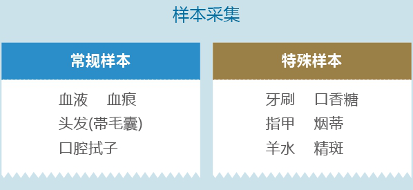 东莞司法亲子鉴定