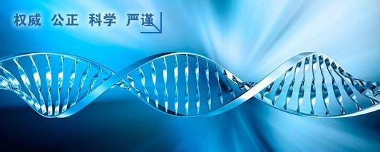 司法亲子鉴定09.jpg