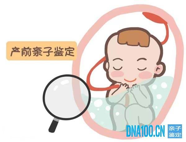 胎儿无创亲子鉴定10.jpg