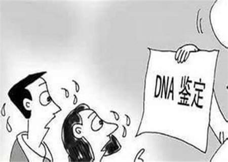 dna亲子鉴定