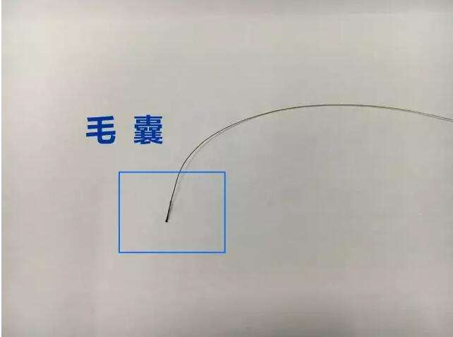 隐私亲子鉴定